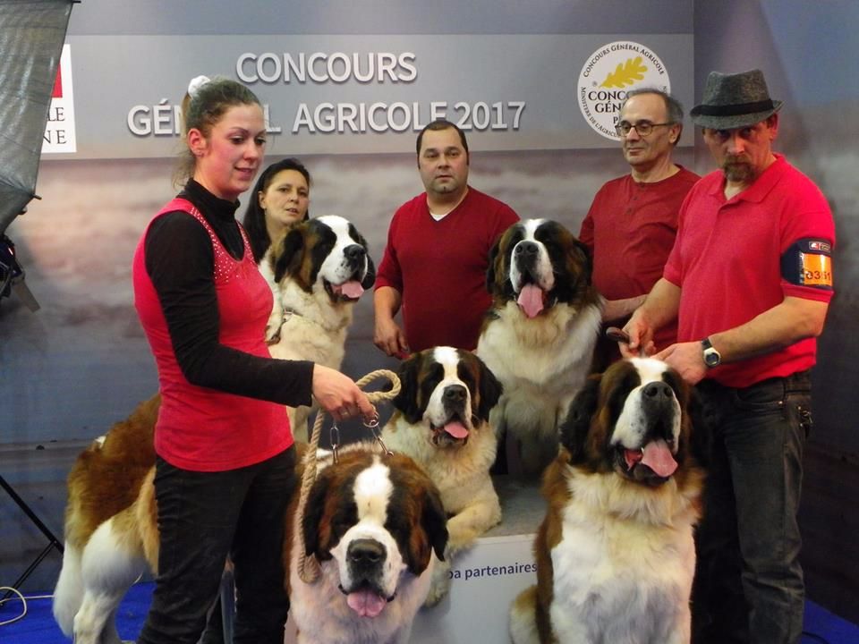 Des Montagnes Ensablées - Salon de l'agriculture 2017 (voir vidéo)