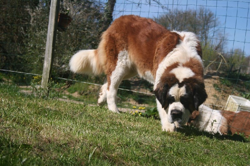 Genny de  perabernardo