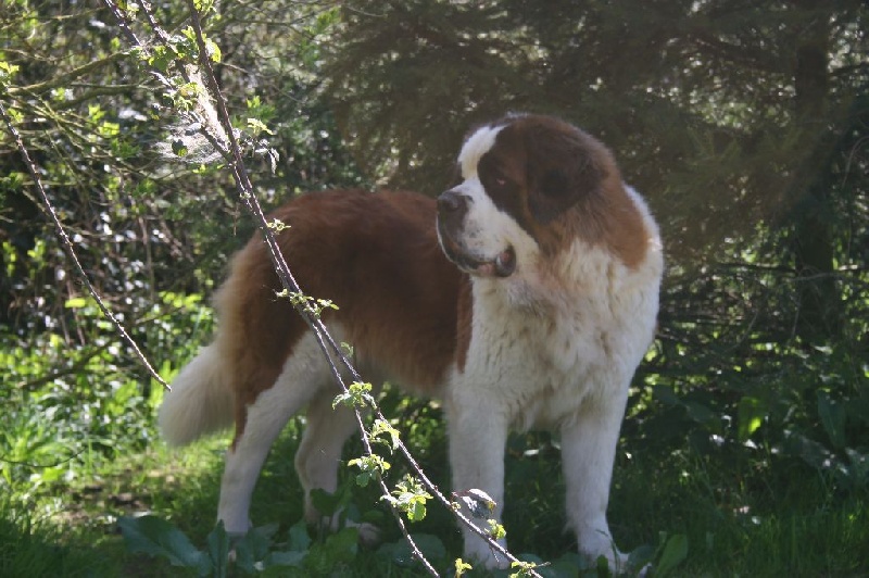 Genny de  perabernardo